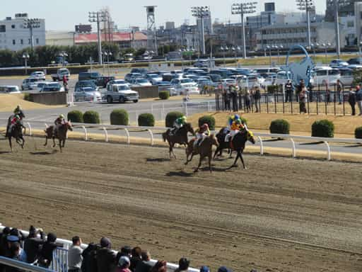 競馬や競輪とは違うギャンブルの楽しさ